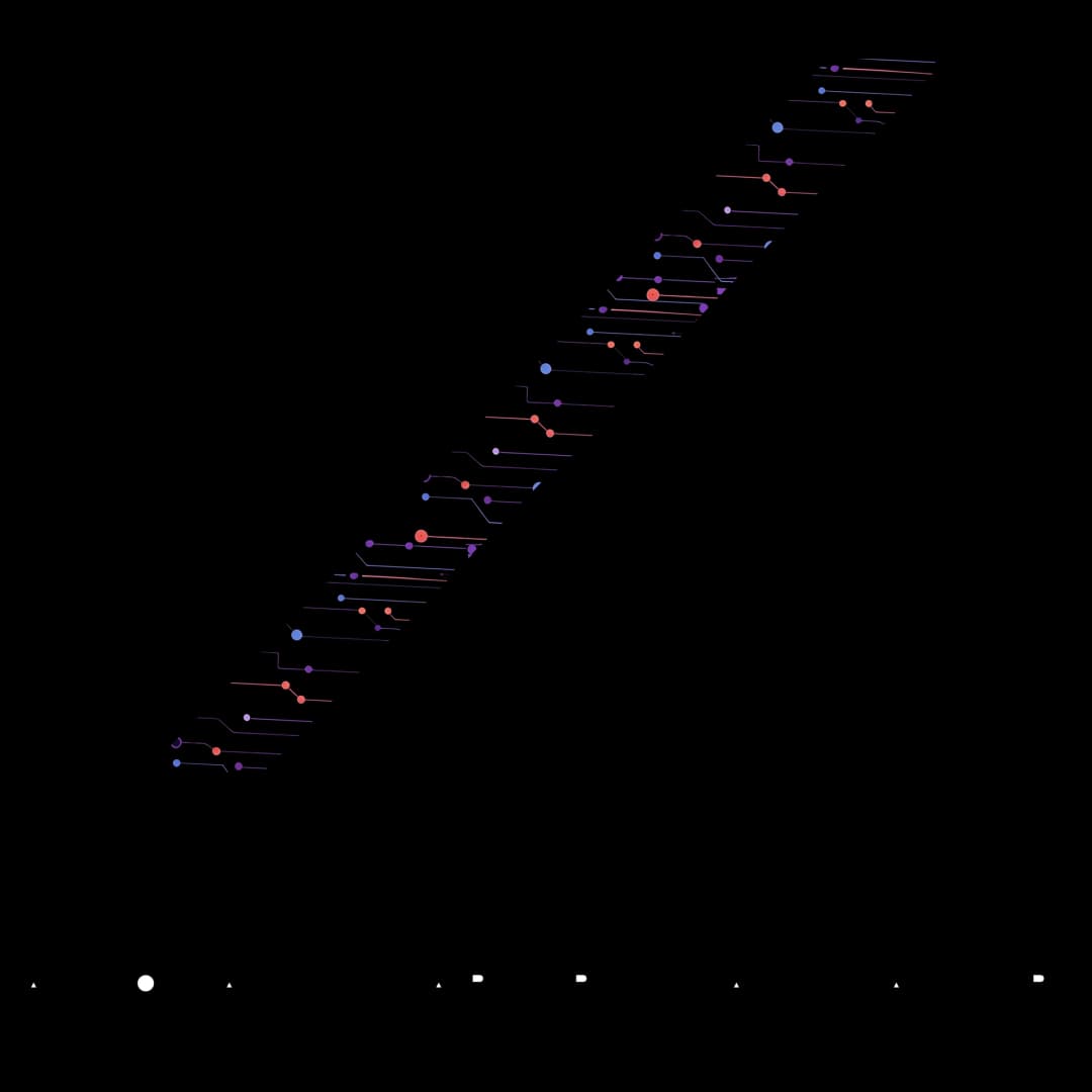 Xynetra circuit X